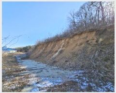  2024Ÿ��51846 ��� ȭ���� ���Ÿ� ��ȭ�� 100-8      ����(�Ӿ�)���