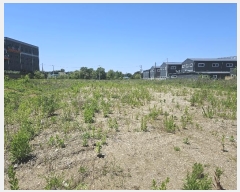  2024Ÿ��68202 ��� ȭ���� ������ �ְ 742-1      ����(��)���