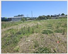  2024Ÿ��68202 ��� ȭ���� ������ �ְ 742-1      ����(��)���