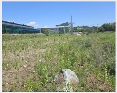  2024Ÿ��68202 ��� ȭ���� ������ �ְ 742-1      ����(��)���