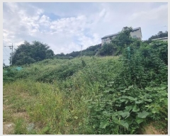  2024Ÿ��86866  �����