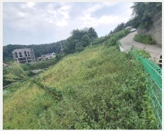  2024Ÿ��86866  �����