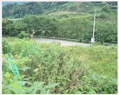  2024Ÿ��86866  �����