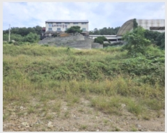  2024Ÿ��86866  �����