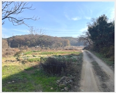  2024Ÿ98425  ȭ ź õ 305      (1)