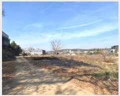  2024Ÿ98425  ȭ ź õ 305      (1)