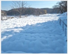  2024Ÿ98425  ȭ ź õ 305      (1)