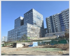  2024Ÿ12872   뱸 ſ 55, 1125ȣ (ŵ,ũƮĻ)    Ʈ