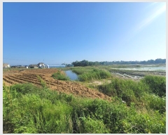  2024Ÿ68813  ȭ Ÿ ۱ 580-2      ()