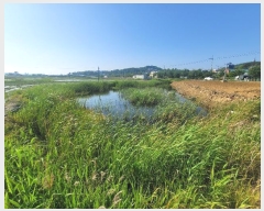  2024Ÿ68813  ȭ Ÿ ۱ 580-2      ()