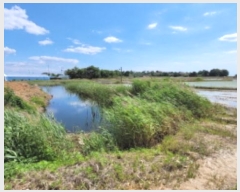  2024Ÿ68813  ȭ Ÿ ۱ 580-2      ()