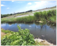  2024Ÿ68813  ȭ Ÿ ۱ 580-2      ()