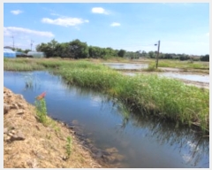  2024Ÿ68813  ȭ Ÿ ۱ 580-2      ()