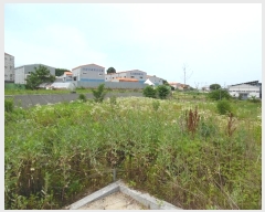  2024Ÿ��74733 ��� ȭ���� ���Ÿ� ��ȭ�� 425-5      ����(��)���