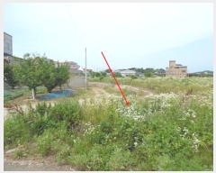  2024Ÿ��74733 ��� ȭ���� ���Ÿ� ��ȭ�� 425-5      ����(��)���