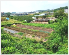  2024Ÿ89506  ȭ Ÿ θ 717      (1)