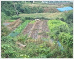  2024Ÿ89506  ȭ Ÿ θ 717      (1)