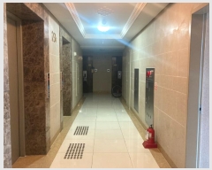  2024Ÿ92830  ȭ ۷ 203, 232301ȣ (ݼ۵,ش)     Ʈ