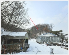  2024Ÿ95174  ν óα ϵ 612-84      (Ӿ)