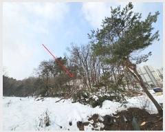  2024Ÿ95174  ν óα ϵ 612-84      (Ӿ)