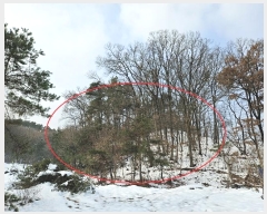  2024Ÿ95174  ν óα ϵ 612-84      (Ӿ)