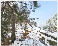  2024Ÿ95174  ν óα ϵ 612-84      (Ӿ)