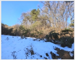  2024Ÿ95174  ν óα ϵ 612-84      (Ӿ)