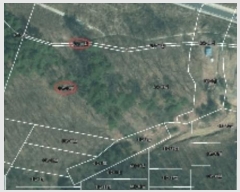  2024Ÿ95174  ν óα ϵ 612-84      (Ӿ)