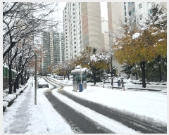  2024Ÿ��97972  ����Ʈ���