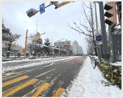  2024Ÿ��97972  ����Ʈ���