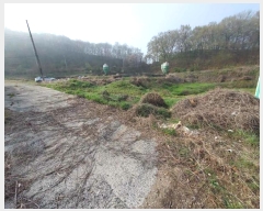  2024Ÿ��4154 ��� ȭ���� ������ ���縮 819      ����(�������)���