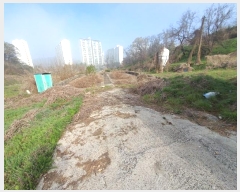  2024Ÿ��4154 ��� ȭ���� ������ ���縮 819      ����(�������)���