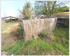  2024Ÿ��4154 ��� ȭ���� ������ ���縮 819      ����(�������)���