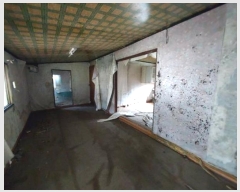  2024Ÿ��4154 ��� ȭ���� ������ ���縮 819      ����(�������)���