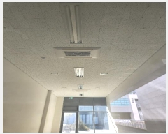  2024Ÿ��11909  �ٸ��󰡰��