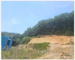  2024Ÿ��72249 ��� ���ν� ó�α� ������ ���帮 284-3     ����(�Ӿ�)���