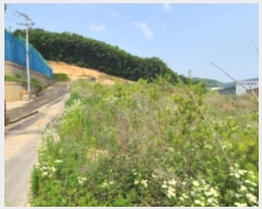  2024Ÿ��72249 ��� ���ν� ó�α� ������ ���帮 284-3     ����(�Ӿ�)���