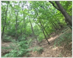  2024Ÿ��72249 ��� ���ν� ó�α� ������ ���帮 284-3     ����(�Ӿ�)���