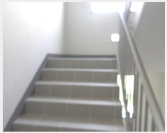  2024Ÿ73389   ȴޱ ȿ93 34, 203 5502ȣ (ű,ƮǪ)   Ʈ