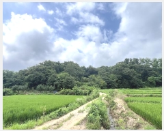  2024Ÿ79561  ȭ Ⳳ Ÿ 112-2      (Ӿ)