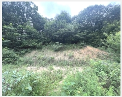  2024Ÿ79561  ȭ Ⳳ Ÿ 112-2      (Ӿ)