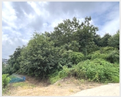  2024Ÿ79561  ȭ Ⳳ Ÿ 112-2      (Ӿ)