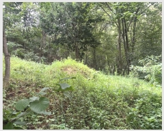  2024Ÿ79561  ȭ Ⳳ Ÿ 112-2      (Ӿ)