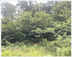  2024Ÿ79561  ȭ Ⳳ Ÿ 112-2      (Ӿ)