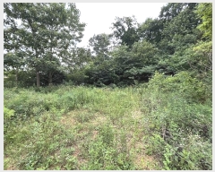  2024Ÿ79561  ȭ Ⳳ Ÿ 112-2      (Ӿ)