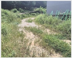  2024Ÿ��85238 ��� ȭ���� ���Ÿ� ��� 423      ����(��)���