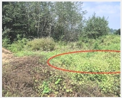  2024Ÿ��85238 ��� ȭ���� ���Ÿ� ��� 423      ����(��)���