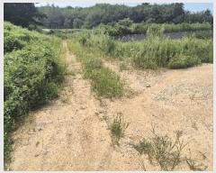  2024Ÿ��85238 ��� ȭ���� ���Ÿ� ��� 423      ����(��)���