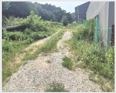  2024Ÿ��85238 ��� ȭ���� ���Ÿ� ��� 423      ����(��)���