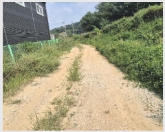  2024Ÿ��85238 ��� ȭ���� ���Ÿ� ��� 423      ����(��)���